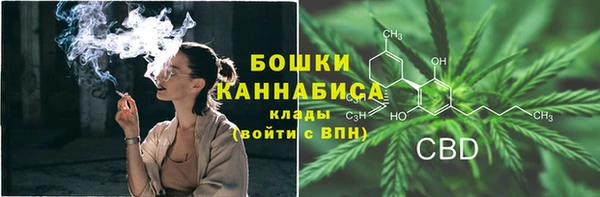 хмурый Гусев