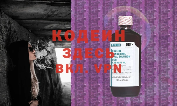 хмурый Гусев