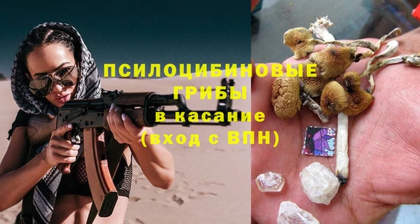 ECSTASY Гусиноозёрск