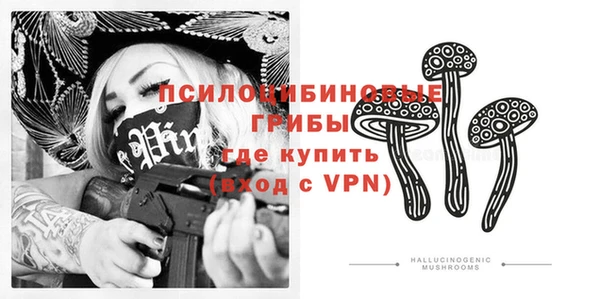 хмурый Гусев