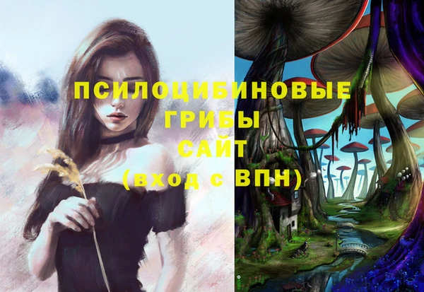 хмурый Гусев
