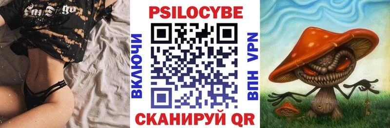 цена наркотик  Тюмень  Псилоцибиновые грибы Psilocybe 